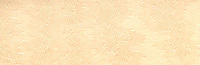 2100 - beige